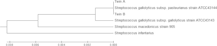 FIG 2