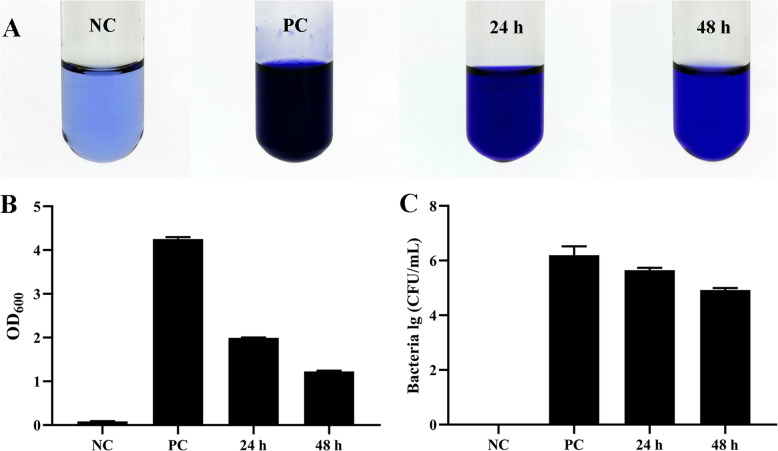 Fig. 7