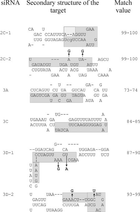 FIG. 6.