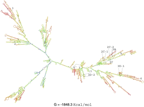 FIG. 1.