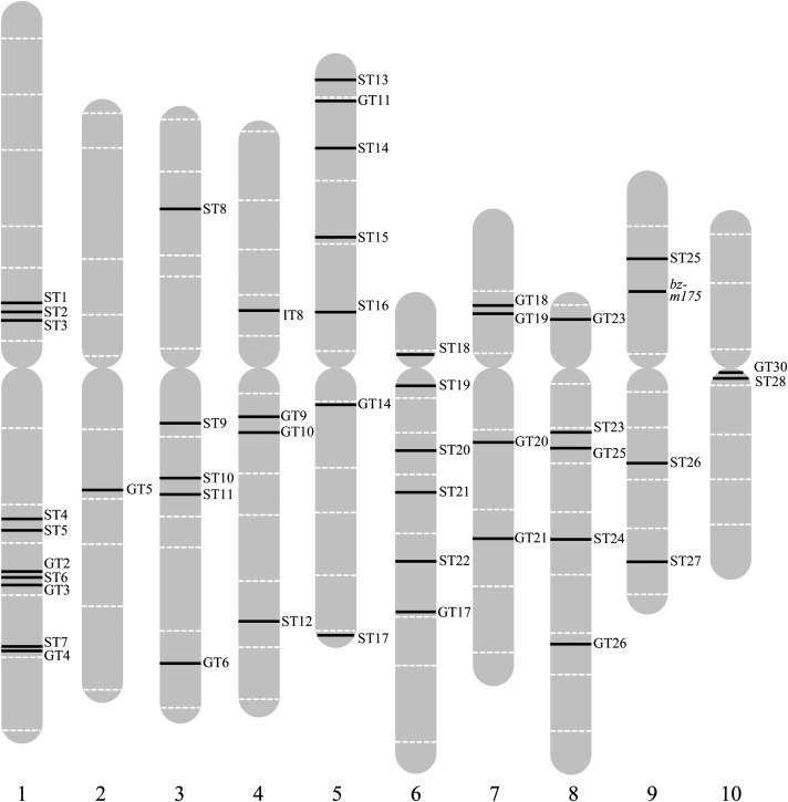 Figure 6.