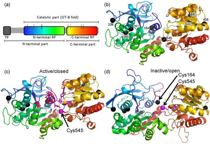 Fig 3