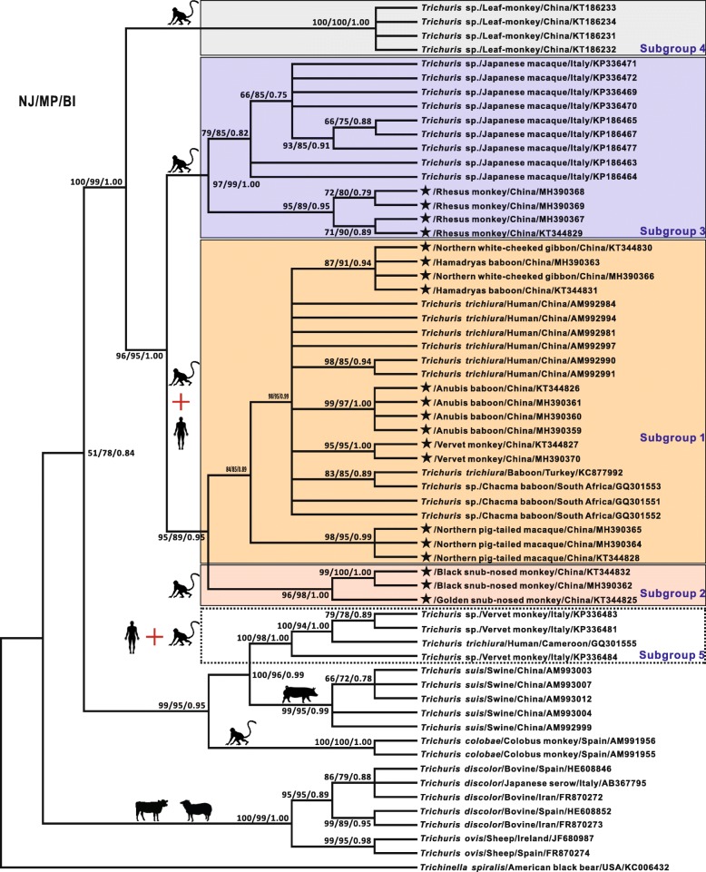 Fig. 2