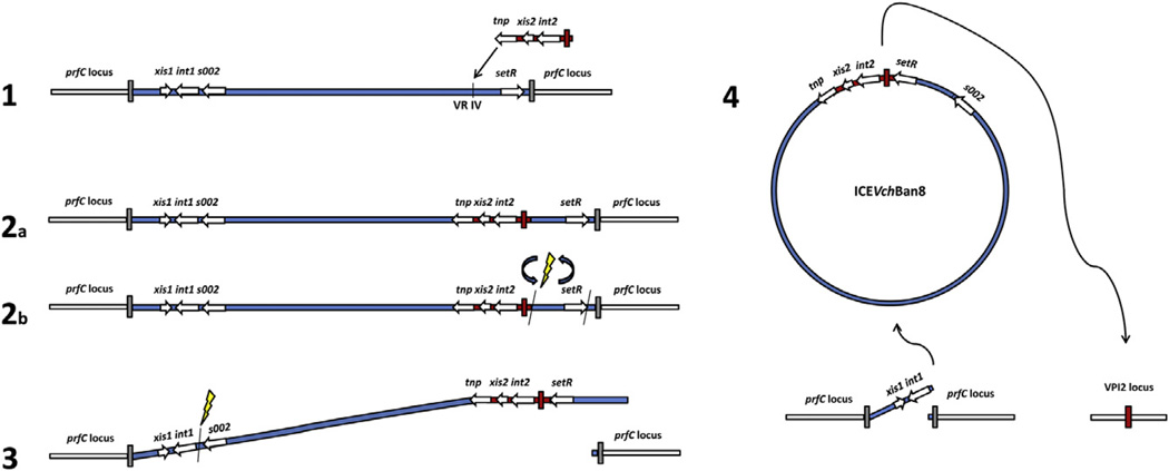 Fig. 3