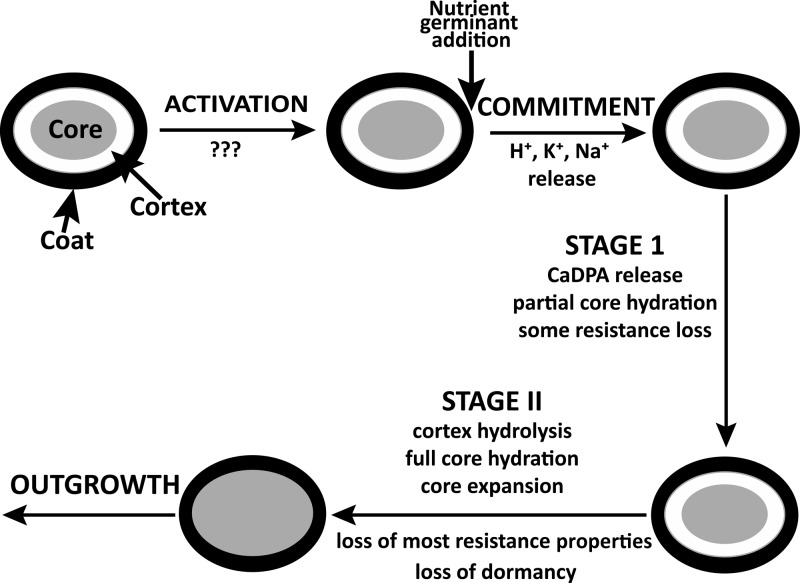 FIG 2