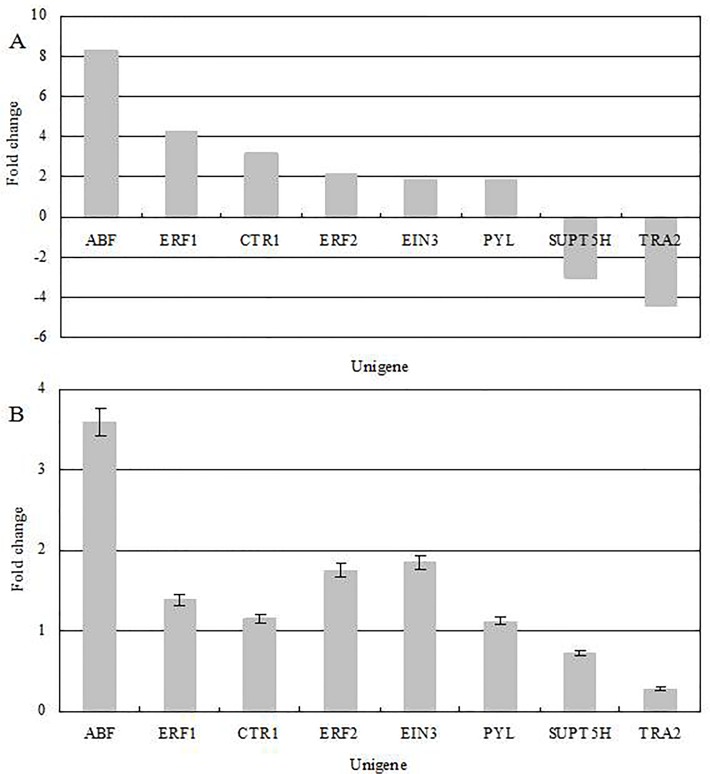 Fig 6