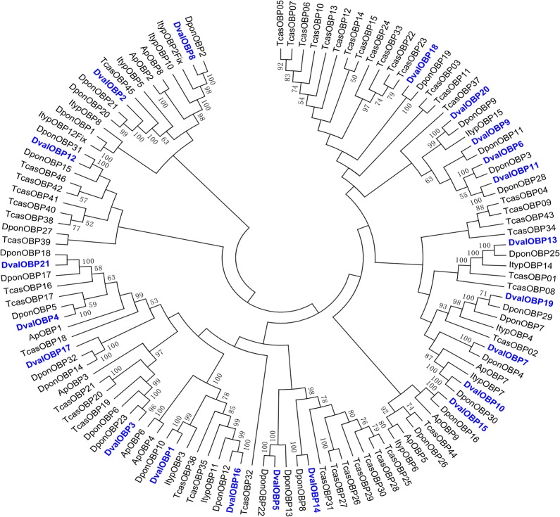 Fig 5