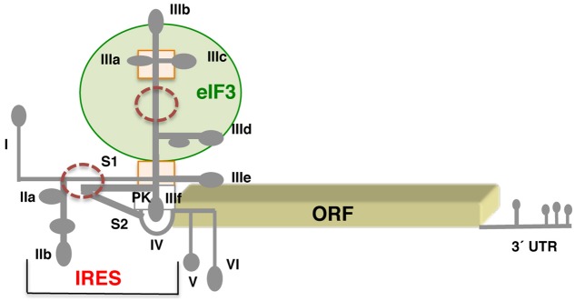 FIGURE 3