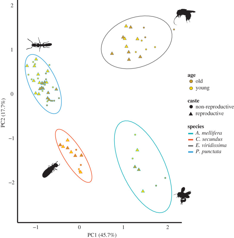 Figure 3. 