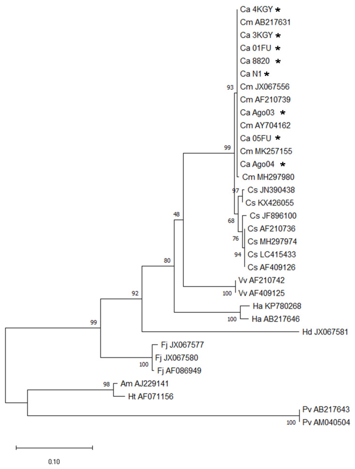 Figure 1