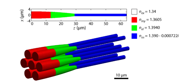 Fig. 1