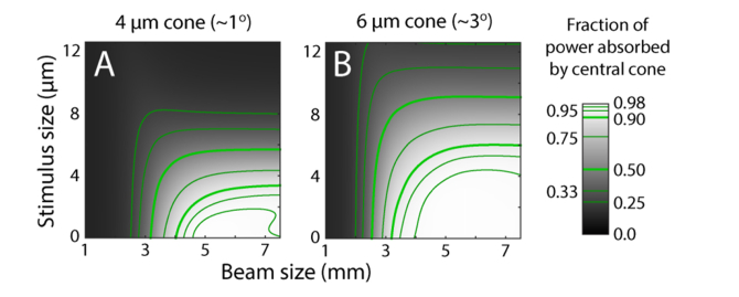 Fig. 6