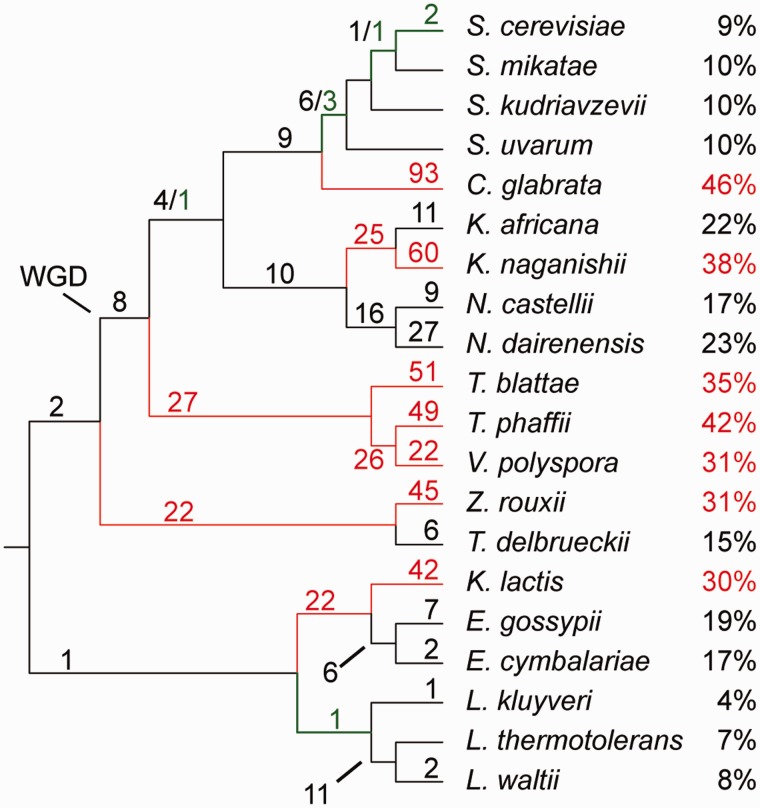 Fig. 6.—