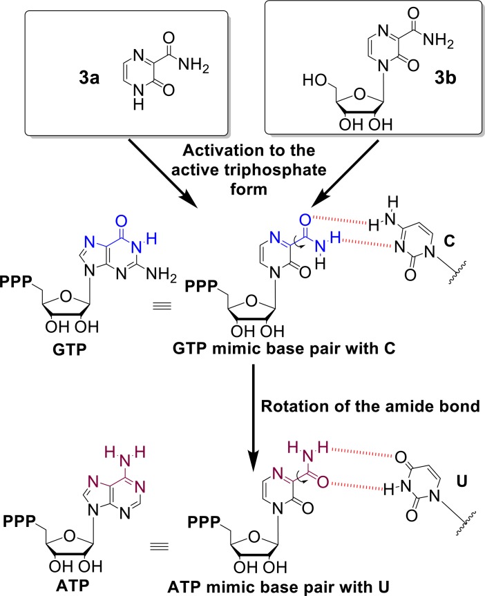 Fig 6