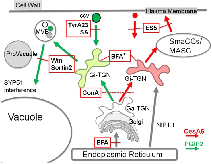 FIGURE 9