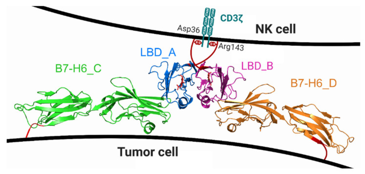 Figure 11