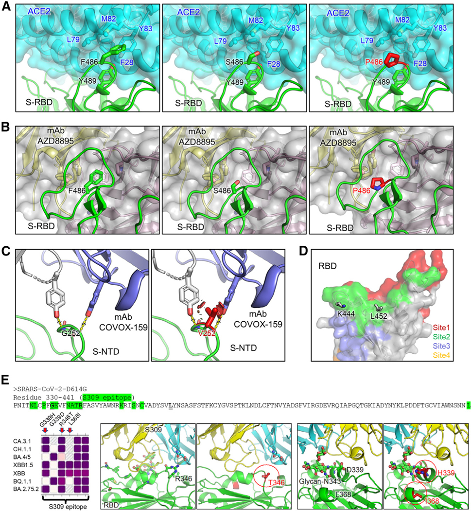 Figure 4.