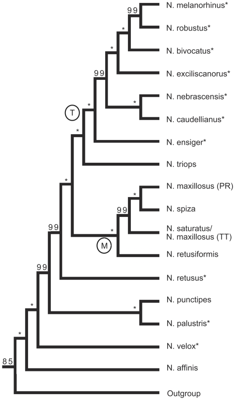 Figure 5.Total