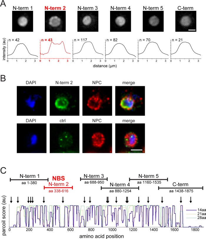 FIGURE 6: