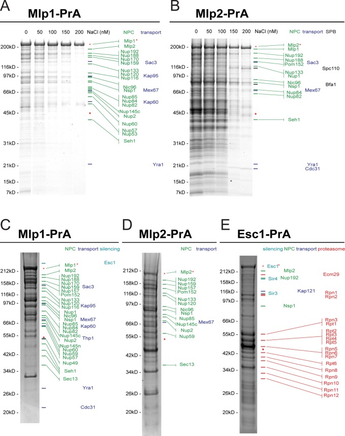 FIGURE 1: