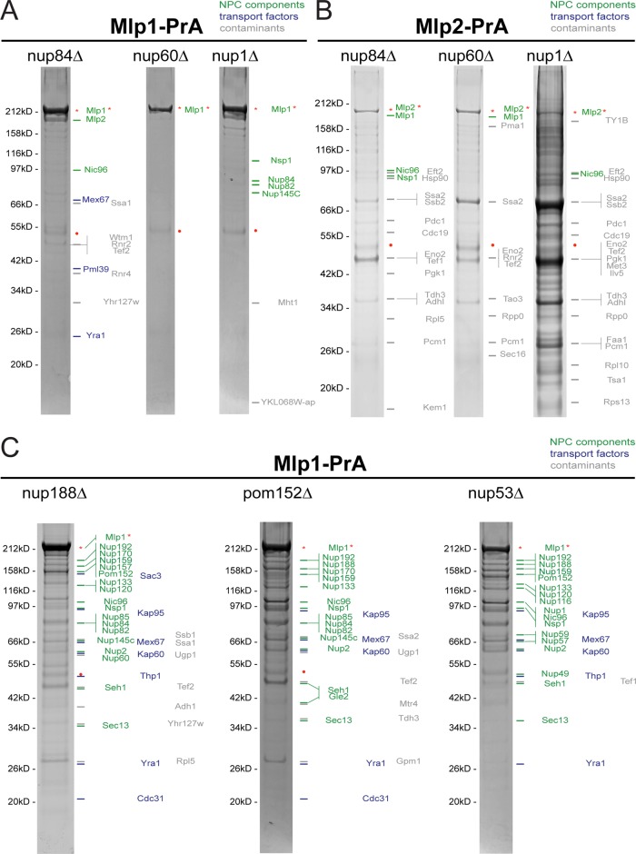 FIGURE 2: