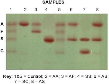 Fig. 2