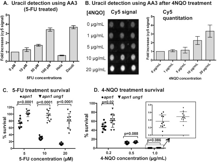 Fig 6