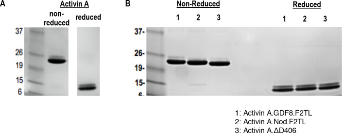 Figure 3—figure supplement 3.