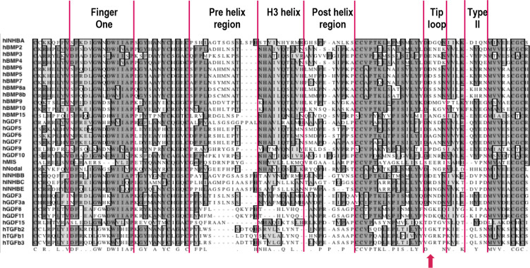 Figure 3—figure supplement 2.