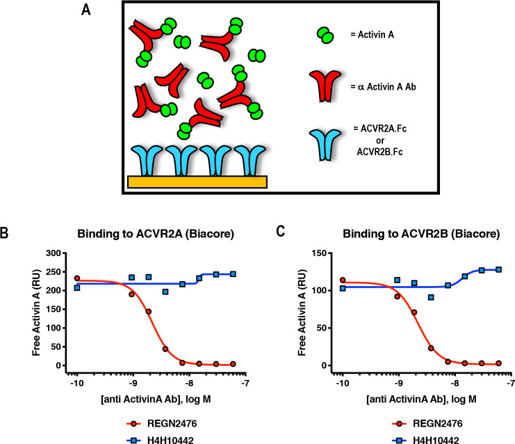 Figure 5—figure supplement 5.