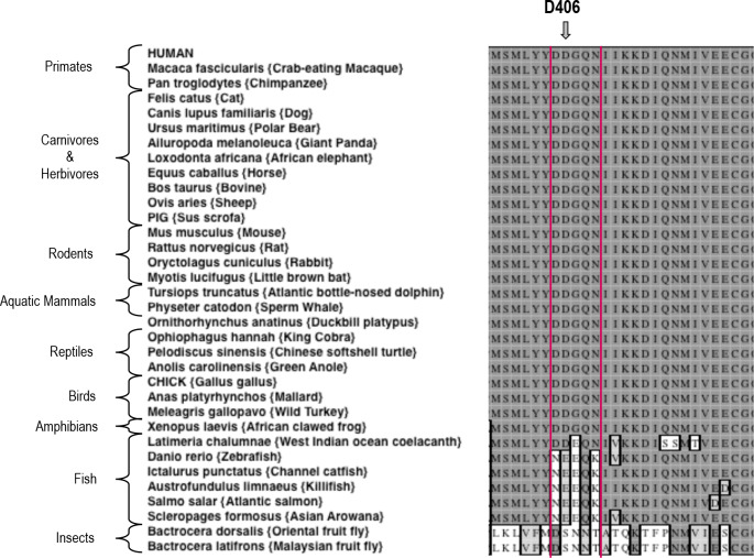 Figure 4—figure supplement 2.