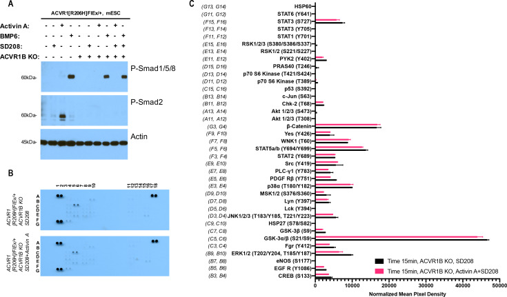 Figure 1—figure supplement 1.