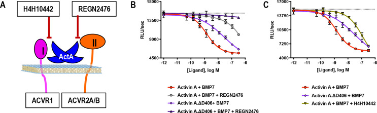 Figure 5—figure supplement 3.