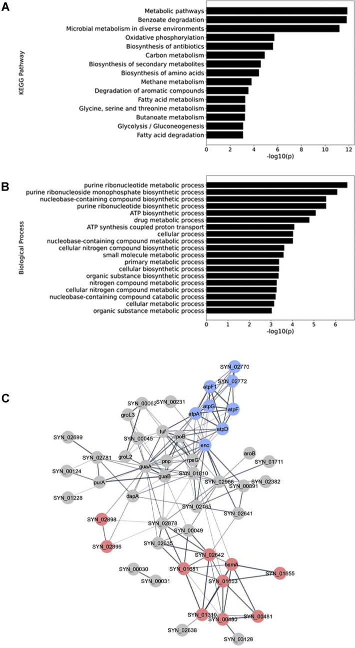 Fig. 2