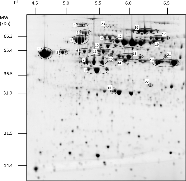 Fig. 1