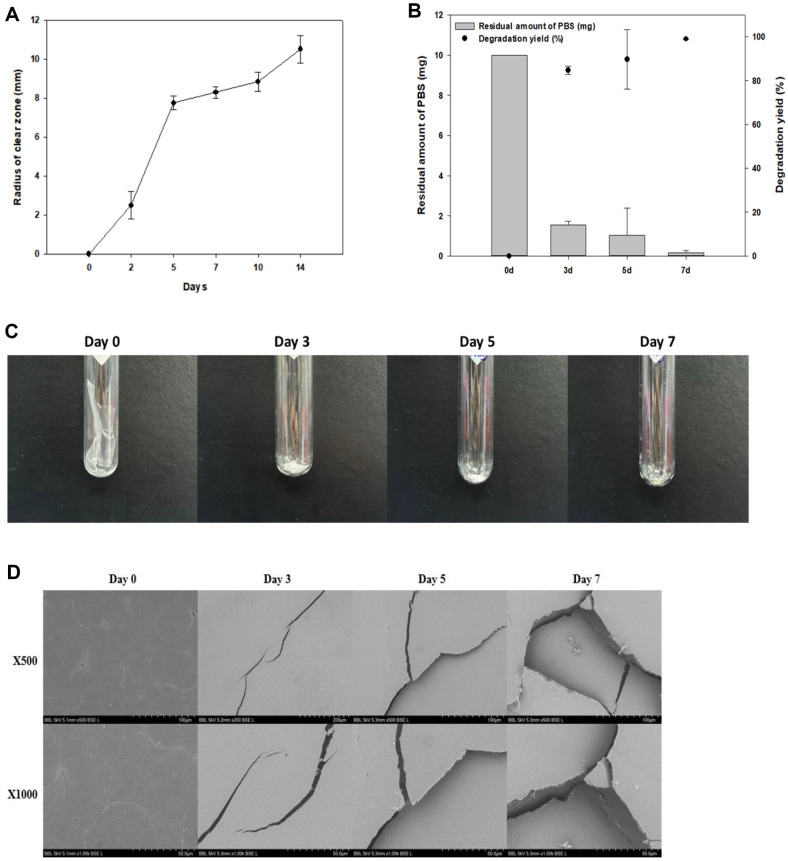 Fig. 7