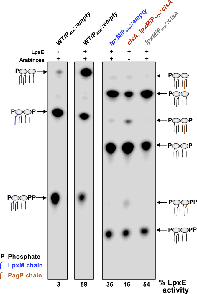 Fig. 6.