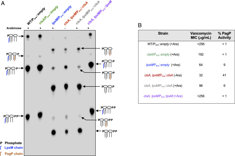 Fig. 7.