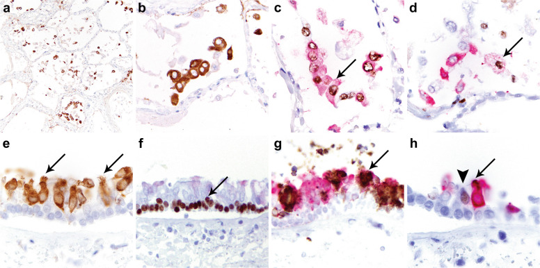 Fig. 7