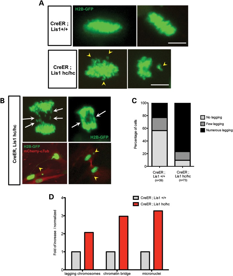 Figure 4.