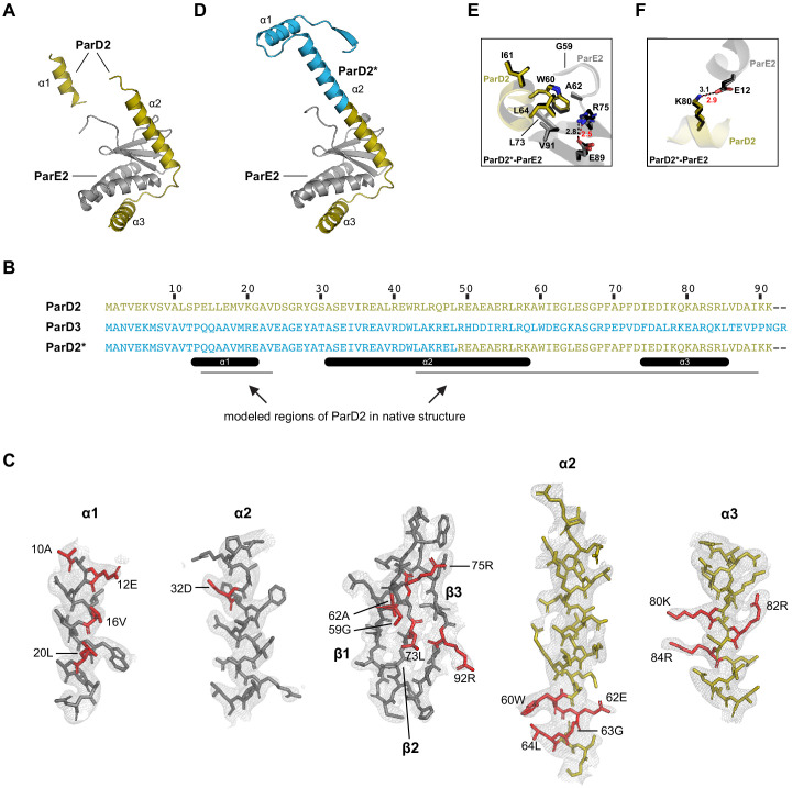Figure 5—figure supplement 1.
