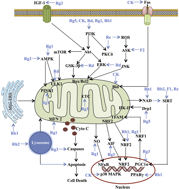 Fig. 2