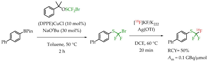 Scheme 19