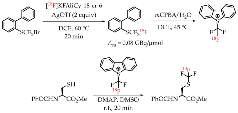 Scheme 15