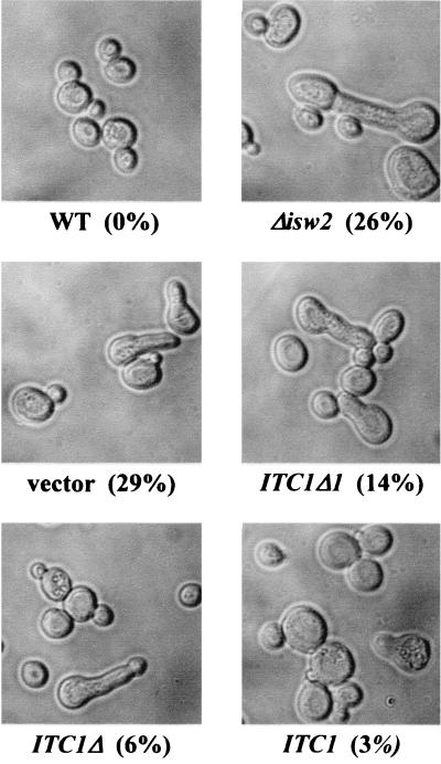 FIG. 7