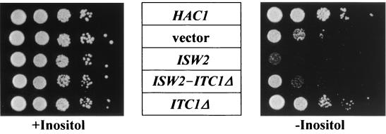 FIG. 6