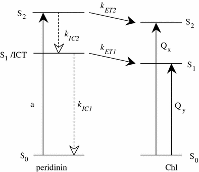 Fig. 9