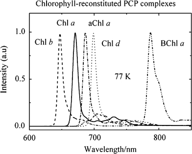 Fig. 6