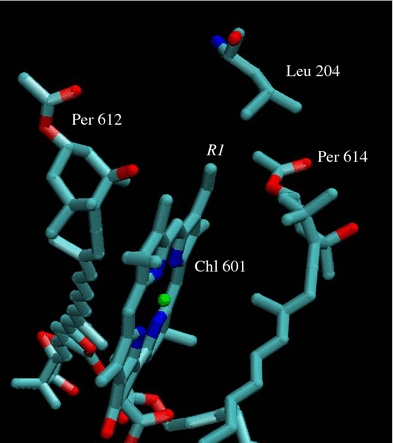 Fig. 8