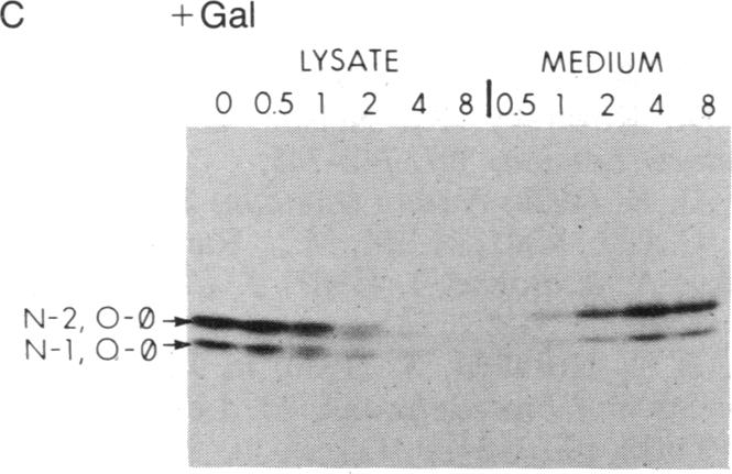 graphic file with name pnas00333-0041-e.jpg